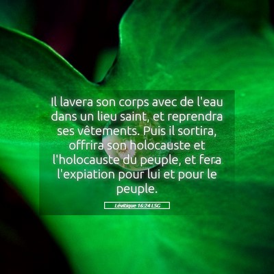 Picture 05 - Lévitique 16:24 LSG - Il lavera son corps avec de l'eau dans un lieu - Bible Verse Picture