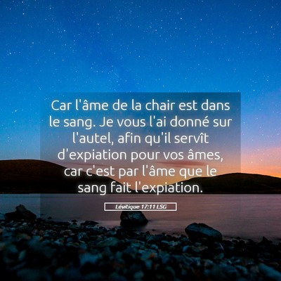 Picture 05 - Lévitique 17:11 LSG - Car l'âme de la chair est dans le sang. Je vous - Bible Verse Picture
