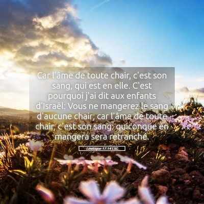 Picture 05 - Lévitique 17:14 LSG - Car l'âme de toute chair, c'est son sang, qui - Bible Verse Picture