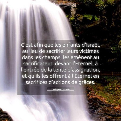 Picture 05 - Lévitique 17:5 LSG - C'est afin que les enfants d'Israël, au lieu de - Bible Verse Picture