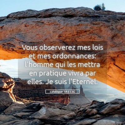 Picture 05 - Lévitique 18:5 LSG - Vous observerez mes lois et mes ordonnances: - Bible Verse Picture