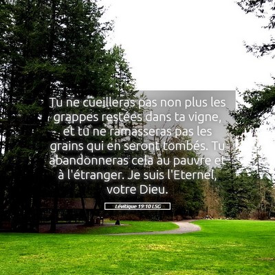 Picture 05 - Lévitique 19:10 LSG - Tu ne cueilleras pas non plus les grappes - Bible Verse Picture