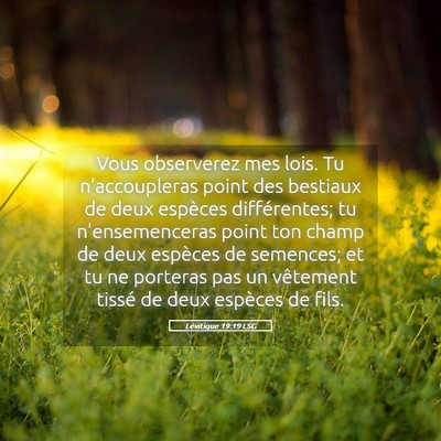 Picture 05 - Lévitique 19:19 LSG - Vous observerez mes lois. Tu n'accoupleras point - Bible Verse Picture
