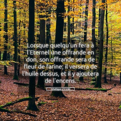 Picture 05 - Lévitique 2:1 LSG - Lorsque quelqu'un fera à l'Eternel une offrande - Bible Verse Picture