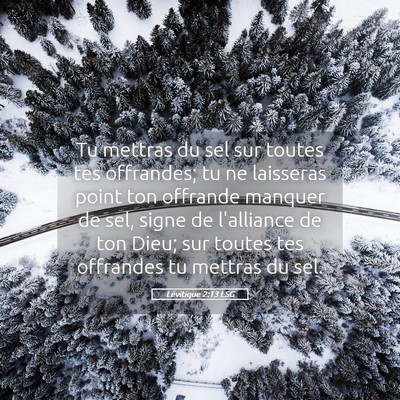 Picture 05 - Lévitique 2:13 LSG - Tu mettras du sel sur toutes tes offrandes; tu ne - Bible Verse Picture