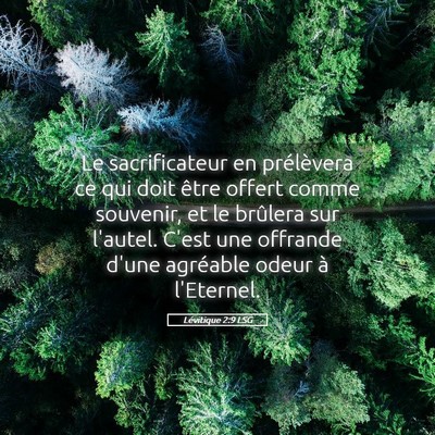 Picture 05 - Lévitique 2:9 LSG - Le sacrificateur en prélèvera ce qui doit être - Bible Verse Picture