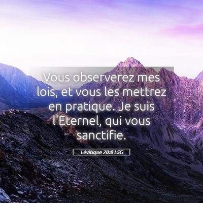 Picture 05 - Lévitique 20:8 LSG - Vous observerez mes lois, et vous les mettrez en - Bible Verse Picture