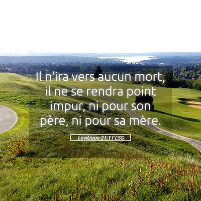 Picture 05 - Lévitique 21:11 LSG - Il n'ira vers aucun mort, il ne se rendra point - Bible Verse Picture