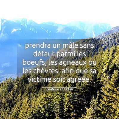 Picture 05 - Lévitique 22:19 LSG - prendra un mâle sans défaut parmi les boeufs, - Bible Verse Picture