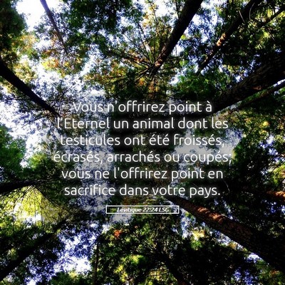 Picture 05 - Lévitique 22:24 LSG - Vous n'offrirez point à l'Eternel un animal dont - Bible Verse Picture