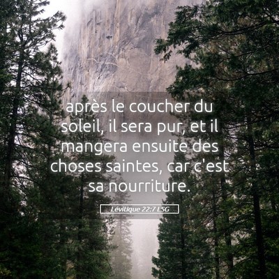 Picture 05 - Lévitique 22:7 LSG - après le coucher du soleil, il sera pur, et il - Bible Verse Picture