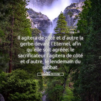 Picture 05 - Lévitique 23:11 LSG - Il agitera de côté et d'autre la gerbe devant - Bible Verse Picture