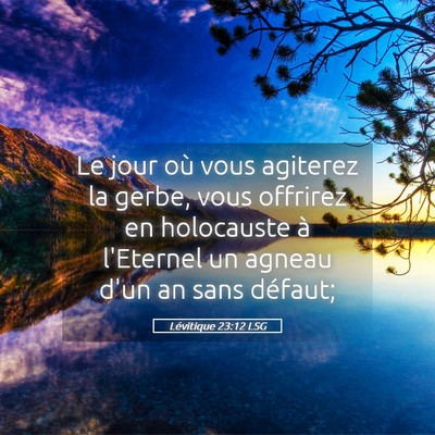 Picture 05 - Lévitique 23:12 LSG - Le jour où vous agiterez la gerbe, vous offrirez - Bible Verse Picture