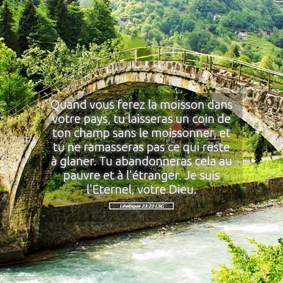 Picture 05 - Lévitique 23:22 LSG - Quand vous ferez la moisson dans votre pays, tu - Bible Verse Picture