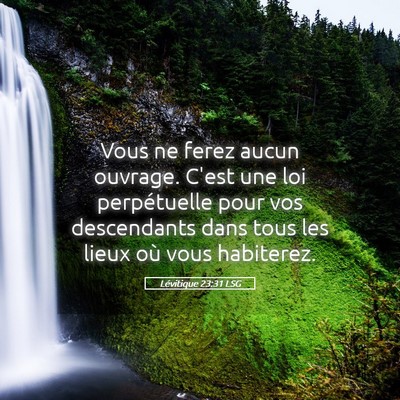 Picture 05 - Lévitique 23:31 LSG - Vous ne ferez aucun ouvrage. C'est une loi - Bible Verse Picture