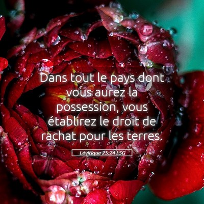 Picture 05 - Lévitique 25:24 LSG - Dans tout le pays dont vous aurez la possession, - Bible Verse Picture