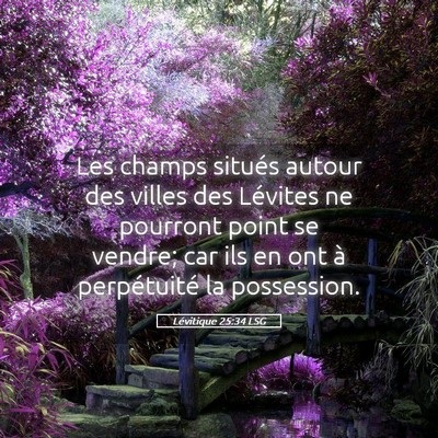 Picture 05 - Lévitique 25:34 LSG - Les champs situés autour des villes des Lévites - Bible Verse Picture