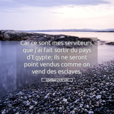 Picture 05 - Lévitique 25:42 LSG - Car ce sont mes serviteurs, que j'ai fait sortir - Bible Verse Picture