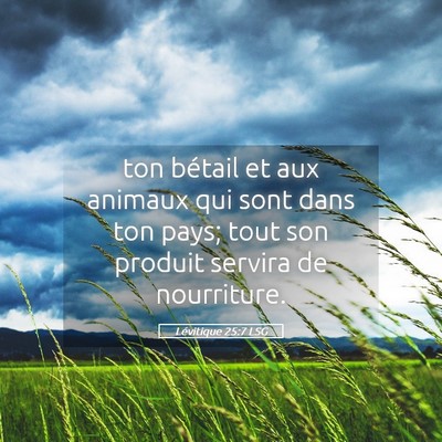 Picture 05 - Lévitique 25:7 LSG - ton bétail et aux animaux qui sont dans ton - Bible Verse Picture