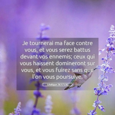 Picture 05 - Lévitique 26:17 LSG - Je tournerai ma face contre vous, et vous serez - Bible Verse Picture