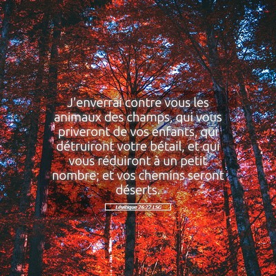 Picture 05 - Lévitique 26:22 LSG - J'enverrai contre vous les animaux des champs, - Bible Verse Picture