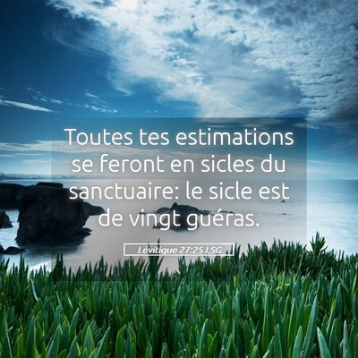 Picture 05 - Lévitique 27:25 LSG - Toutes tes estimations se feront en sicles du - Bible Verse Picture