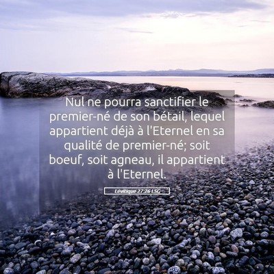 Picture 05 - Lévitique 27:26 LSG - Nul ne pourra sanctifier le premier-né de son - Bible Verse Picture