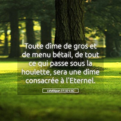 Picture 05 - Lévitique 27:32 LSG - Toute dîme de gros et de menu bétail, de tout - Bible Verse Picture