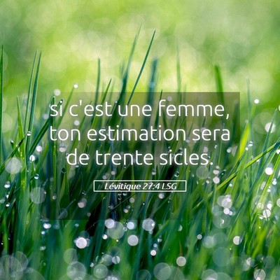 Picture 05 - Lévitique 27:4 LSG - si c'est une femme, ton estimation sera de trente - Bible Verse Picture
