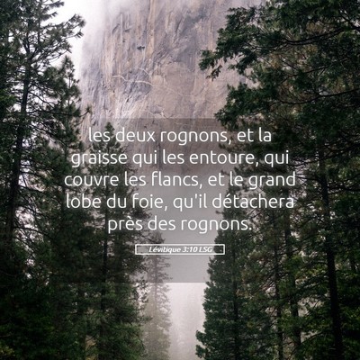 Picture 05 - Lévitique 3:10 LSG - les deux rognons, et la graisse qui les entoure, - Bible Verse Picture
