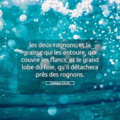Picture 05 - Lévitique 3:4 LSG - les deux rognons, et la graisse qui les entoure, - Bible Verse Picture