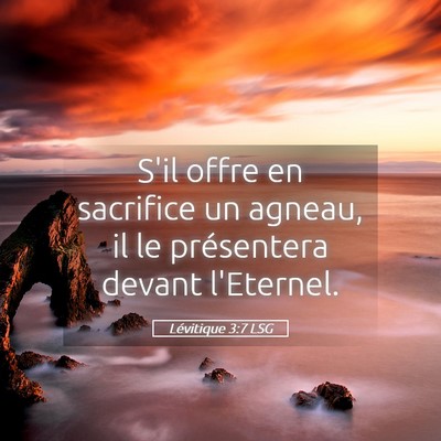Picture 05 - Lévitique 3:7 LSG - S'il offre en sacrifice un agneau, il le - Bible Verse Picture