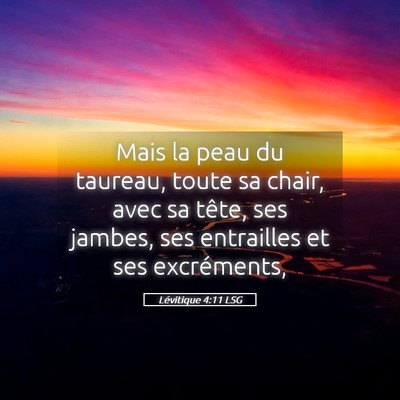 Picture 05 - Lévitique 4:11 LSG - Mais la peau du taureau, toute sa chair, avec sa - Bible Verse Picture