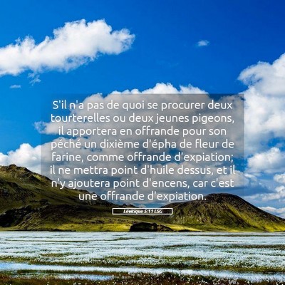 Picture 05 - Lévitique 5:11 LSG - S'il n'a pas de quoi se procurer deux - Bible Verse Picture