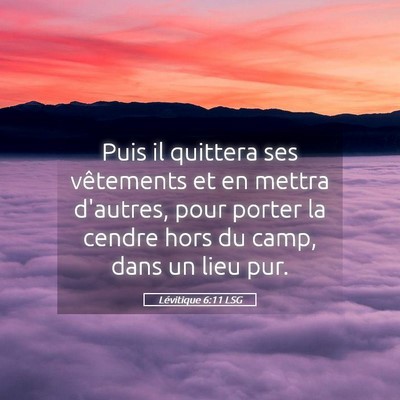 Picture 05 - Lévitique 6:11 LSG - Puis il quittera ses vêtements et en mettra - Bible Verse Picture