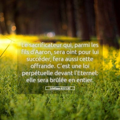 Picture 05 - Lévitique 6:22 LSG - Le sacrificateur qui, parmi les fils d'Aaron, - Bible Verse Picture
