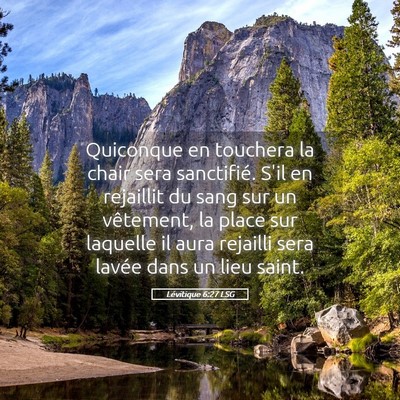 Picture 05 - Lévitique 6:27 LSG - Quiconque en touchera la chair sera sanctifié. - Bible Verse Picture
