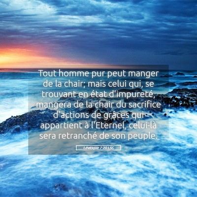 Picture 05 - Lévitique 7:20 LSG - Tout homme pur peut manger de la chair; mais - Bible Verse Picture