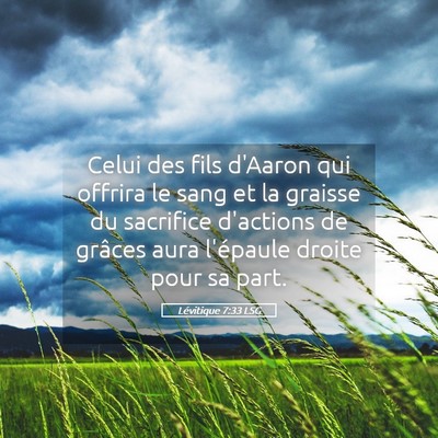 Picture 05 - Lévitique 7:33 LSG - Celui des fils d'Aaron qui offrira le sang et la - Bible Verse Picture