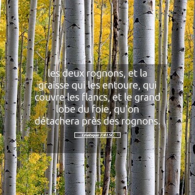Picture 05 - Lévitique 7:4 LSG - les deux rognons, et la graisse qui les entoure, - Bible Verse Picture