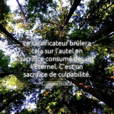 Picture 05 - Lévitique 7:5 LSG - Le sacrificateur brûlera cela sur l'autel en - Bible Verse Picture
