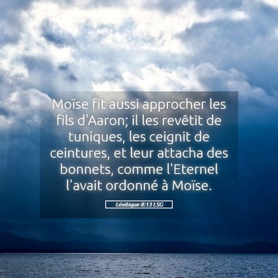 Picture 05 - Lévitique 8:13 LSG - Moïse fit aussi approcher les fils d'Aaron; il - Bible Verse Picture