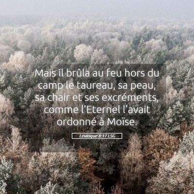 Picture 05 - Lévitique 8:17 LSG - Mais il brûla au feu hors du camp le taureau, sa - Bible Verse Picture