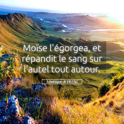 Picture 05 - Lévitique 8:19 LSG - Moïse l'égorgea, et répandit le sang sur - Bible Verse Picture