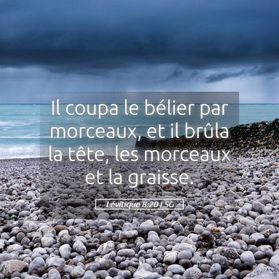 Picture 05 - Lévitique 8:20 LSG - Il coupa le bélier par morceaux, et il brûla la - Bible Verse Picture