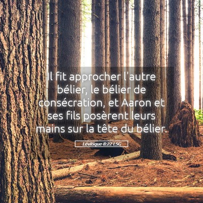 Picture 05 - Lévitique 8:22 LSG - Il fit approcher l'autre bélier, le bélier de - Bible Verse Picture