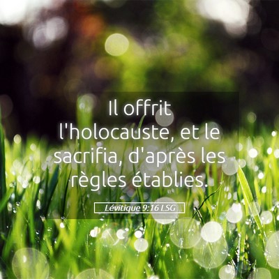 Picture 05 - Lévitique 9:16 LSG - Il offrit l'holocauste, et le sacrifia, d'après - Bible Verse Picture