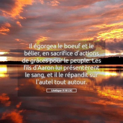 Picture 05 - Lévitique 9:18 LSG - Il égorgea le boeuf et le bélier, en sacrifice - Bible Verse Picture
