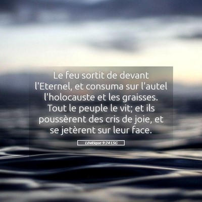 Picture 05 - Lévitique 9:24 LSG - Le feu sortit de devant l'Eternel, et consuma sur - Bible Verse Picture