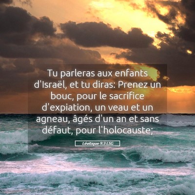 Picture 05 - Lévitique 9:3 LSG - Tu parleras aux enfants d'Israël, et tu diras: - Bible Verse Picture